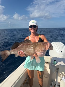 Sarasota Offshore W/ Capt Mike