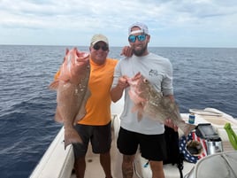 Sarasota Offshore W/ Capt Mike