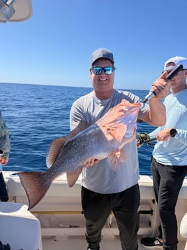 Sarasota Offshore W/ Capt Mike