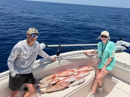 Sarasota Offshore W/ Capt Mike