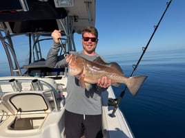 Sarasota Offshore W/ Capt Mike