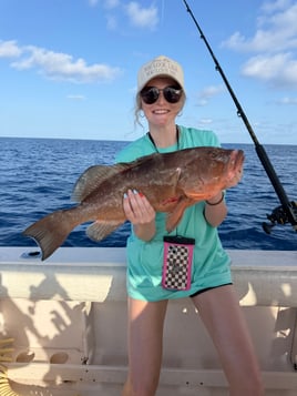 Sarasota Offshore W/ Capt Mike