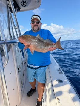 Sarasota Offshore W/ Capt Mike