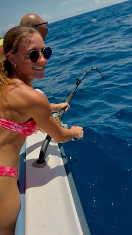 Sarasota Offshore W/ Capt Mike