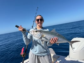Sarasota Offshore W/ Capt Mike