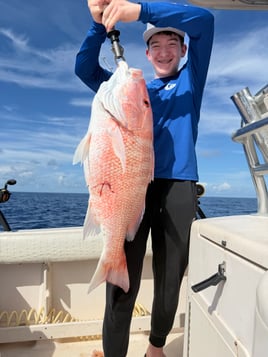 Sarasota Offshore W/ Capt Mike