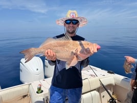 Sarasota Offshore W/ Capt Mike