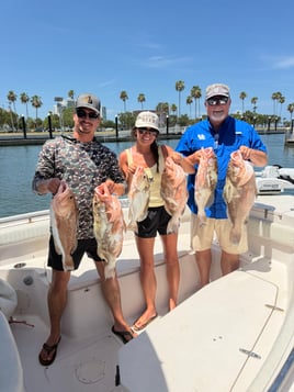Sarasota Offshore W/ Capt Mike