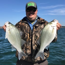 Sonar-intensive White Bass Fishing