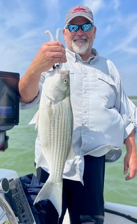Sonar-intensive White Bass Fishing