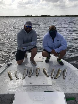 5-8 Hour Inshore Trip