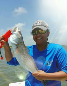 5-8 Hour Inshore Trip