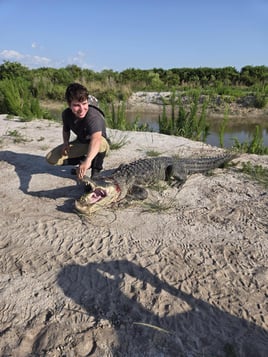 Gator Hunts