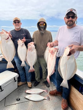 4-8 Hour Trip - Halibut