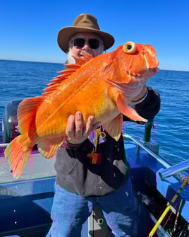 Full Day Trip – Rockfish/Lingcod