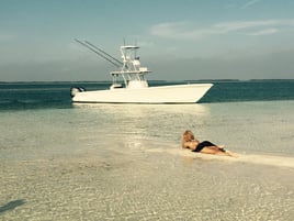 4-8 Hours Trip - Compass Rose
