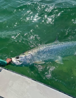 Backcountry Fishing Trip