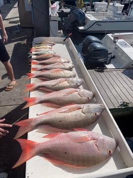 28' Conch Offshore Trip