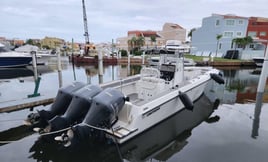 Profesional fishing & beach 