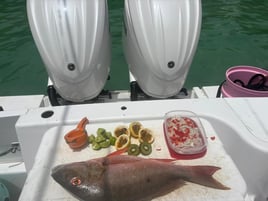 Profesional fishing & beach 