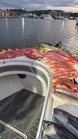 Profesional fishing & beach 