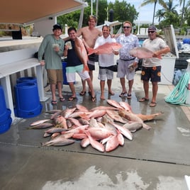 Offshore Fishing Trip