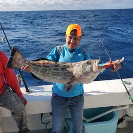 Offshore Fishing Trip