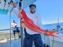 Offshore Fishing Trip