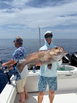  6 or 8-Hour Deep Dropping Trip