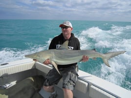 6 or 8-Hour Shark Trip