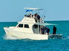 Big Snappers and Amberjack Trip