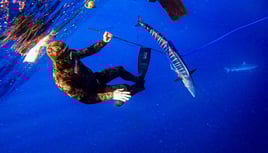 Spearfishing