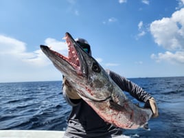 6 Hour Private Charter