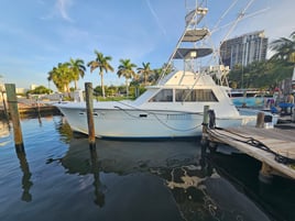 Private 4 Hour Sportfishing Charter