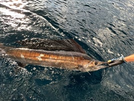 VIP SPORTFISHING & OCEAN SKEET