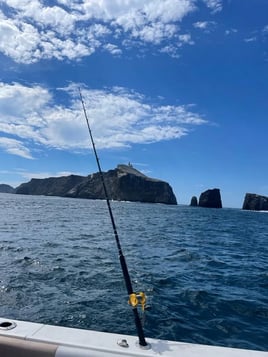 4-10 Hour Offshore Trip