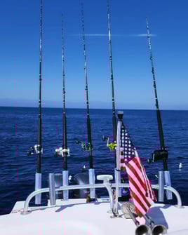 4-10 Hour Offshore Trip