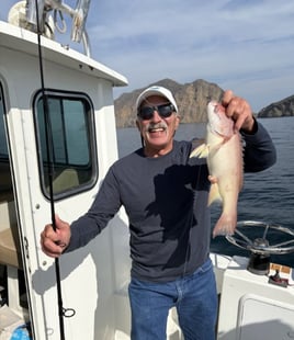 4-10 Hour Offshore Trip