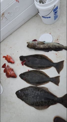 4-10 Hour Offshore Trip