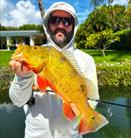 Peacock Bass Fishing