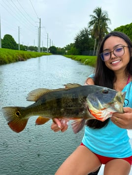 Peacock Bass Fishing
