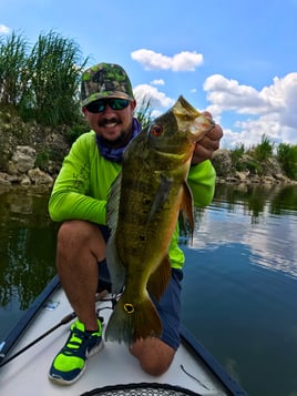 Peacock Bass Fishing