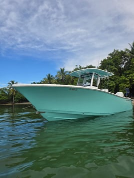 4-8 hour Offshore Fishing