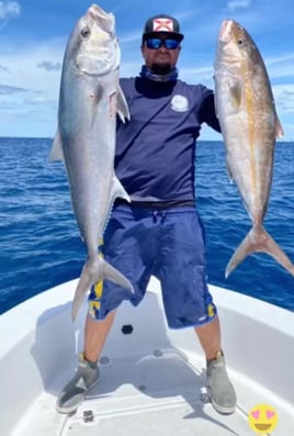 4-8 hour Offshore Fishing