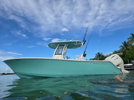Shark Fishing