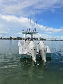Shark Fishing