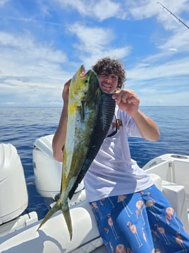 Shark Fishing