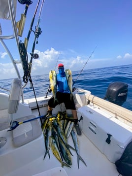 Shark Fishing