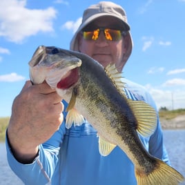 4-8 Hr Trip–Peacock/Largemouth Bass