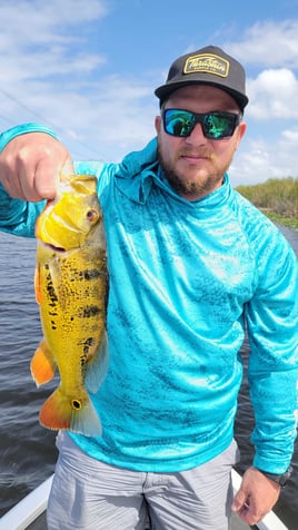 4-8 Hr Trip–Peacock/Largemouth Bass
